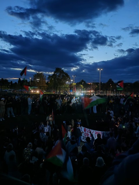 Un'immagine dalle manifestazioni pro Palestina. Si ringrazia Calcio&Rivoluzione